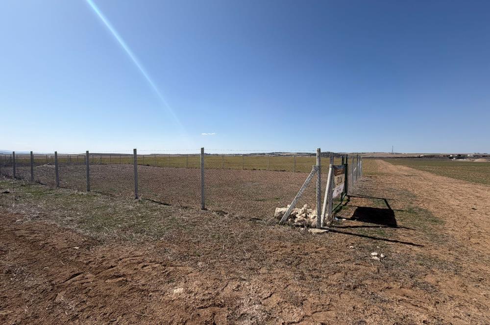 CENTURY 21 LEGENDS 'DAN YAVRUCUK MAHALLESİ'NDE SATILIK HİSSELİ TARLA