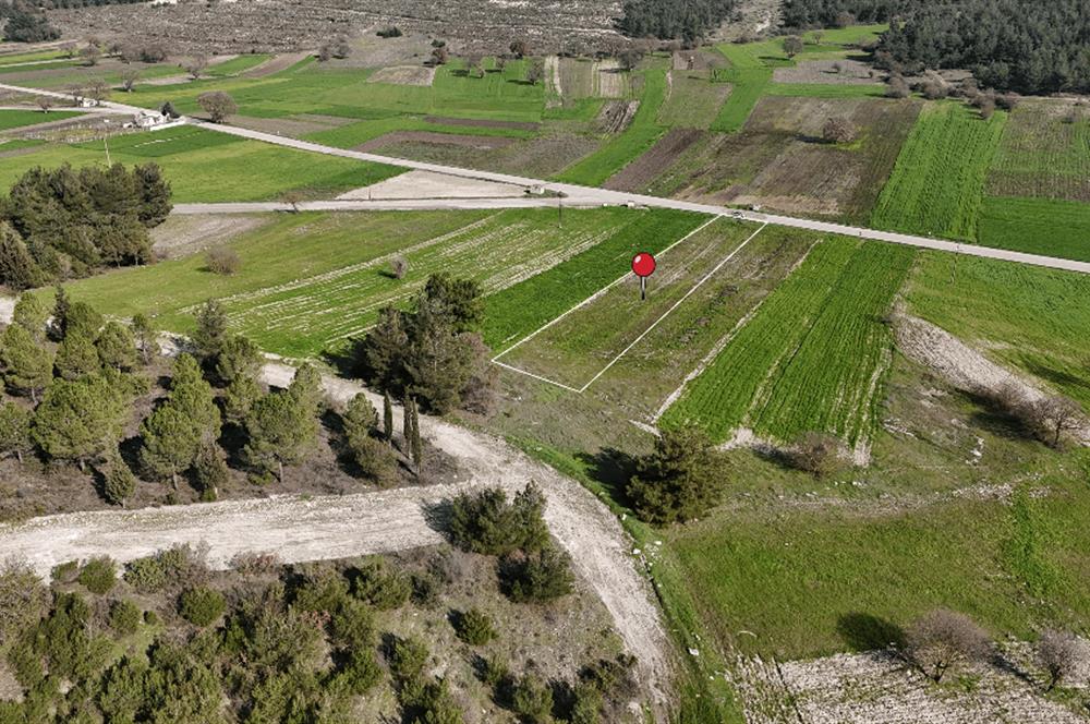 C21 WİNNER BİGADİÇ YOLBAŞI 2.245m² SATILIK TARLA