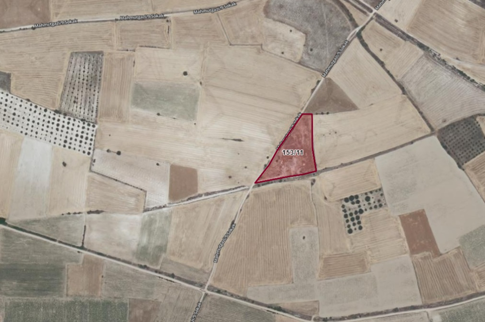 C21 LOFT'TAN ÇAL MAHMUTGAZİ'DE SATILIK TARLA