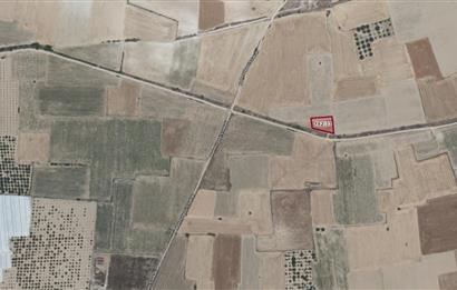 C21 LOFT'TAN ÇAL MAHMUTGAZİ'DE SATILIK TARLA