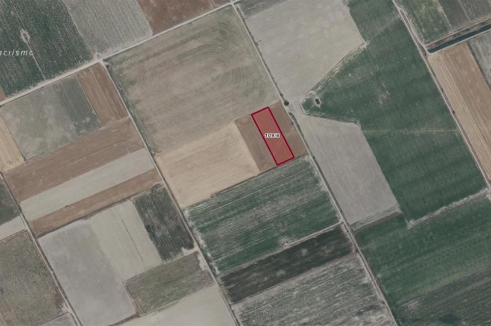 C21 LOFT'TAN ÇAL MAHMUTGAZİ'DE SATILIK TARLA