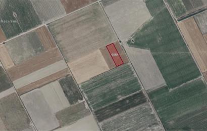 C21 LOFT'TAN ÇAL MAHMUTGAZİ'DE SATILIK TARLA