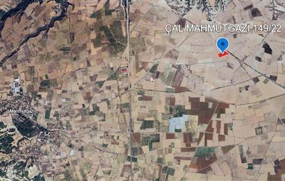 C21 LOFT'TAN ÇAL MAHMUTGAZİ'DE SATILIK TARLA