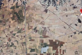 C21 LOFT'TAN ÇAL MAHMUTGAZİ'DE SATILIK TARLA - 5 - 32788