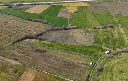 C21 WİNNER BALIKESİR AKÇAKÖY 1.170m² SATILIK TARLA