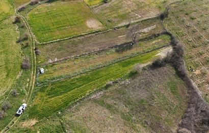 C21 WİNNER BALIKESİR AKÇAKÖY 1.170m² SATILIK TARLA