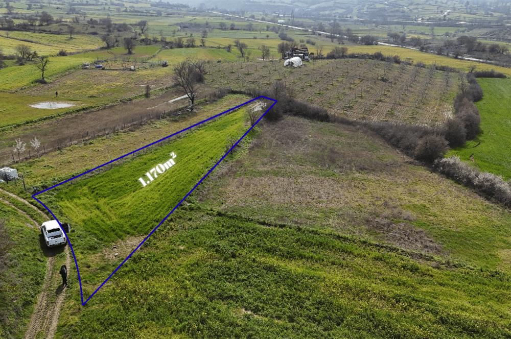 C21 WİNNER BALIKESİR AKÇAKÖY 1.170m² SATILIK TARLA