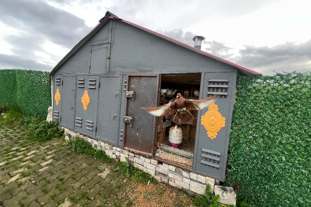 C21 BAL'DAN AKÇAKÖY'DE SATILIK HOBİ BAHÇESİ