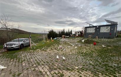 C21 BAL'DAN AKÇAKÖY'DE SATILIK HOBİ BAHÇESİ