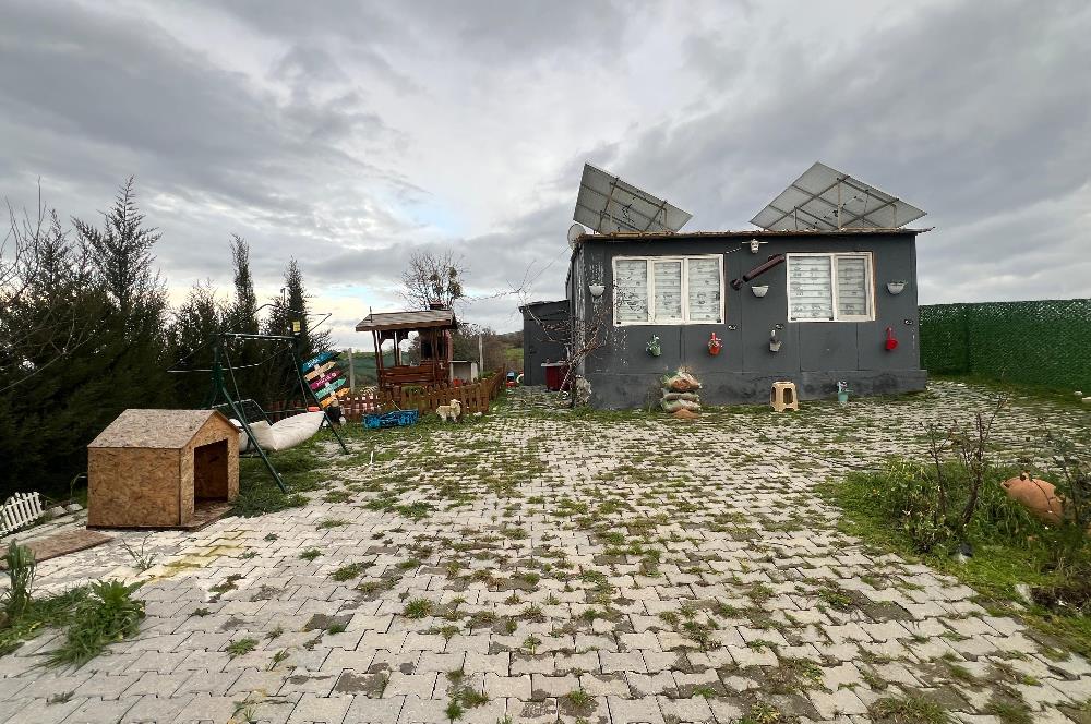 C21 BAL'DAN AKÇAKÖY'DE SATILIK HOBİ BAHÇESİ