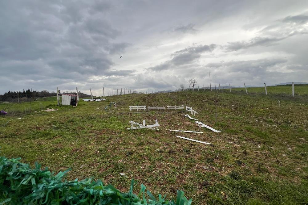 C21 BAL'DAN AKÇAKÖY'DE SATILIK HOBİ BAHÇESİ