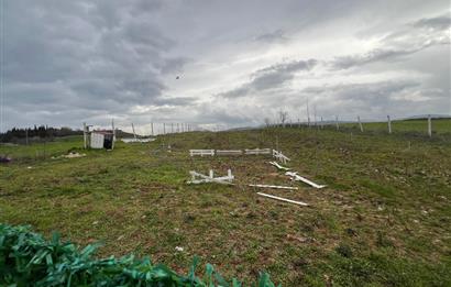 C21 BAL'DAN AKÇAKÖY'DE SATILIK HOBİ BAHÇESİ