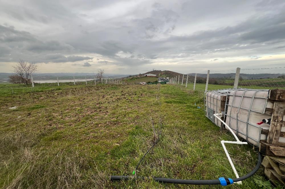 C21 BAL'DAN AKÇAKÖY'DE SATILIK HOBİ BAHÇESİ