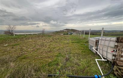 C21 BAL'DAN AKÇAKÖY'DE SATILIK HOBİ BAHÇESİ