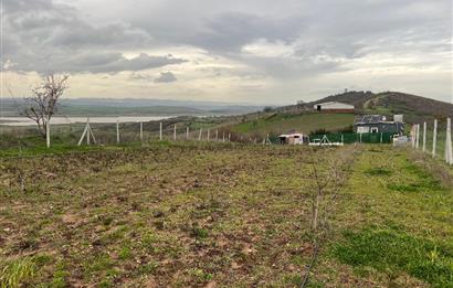 C21 BAL'DAN AKÇAKÖY'DE SATILIK HOBİ BAHÇESİ