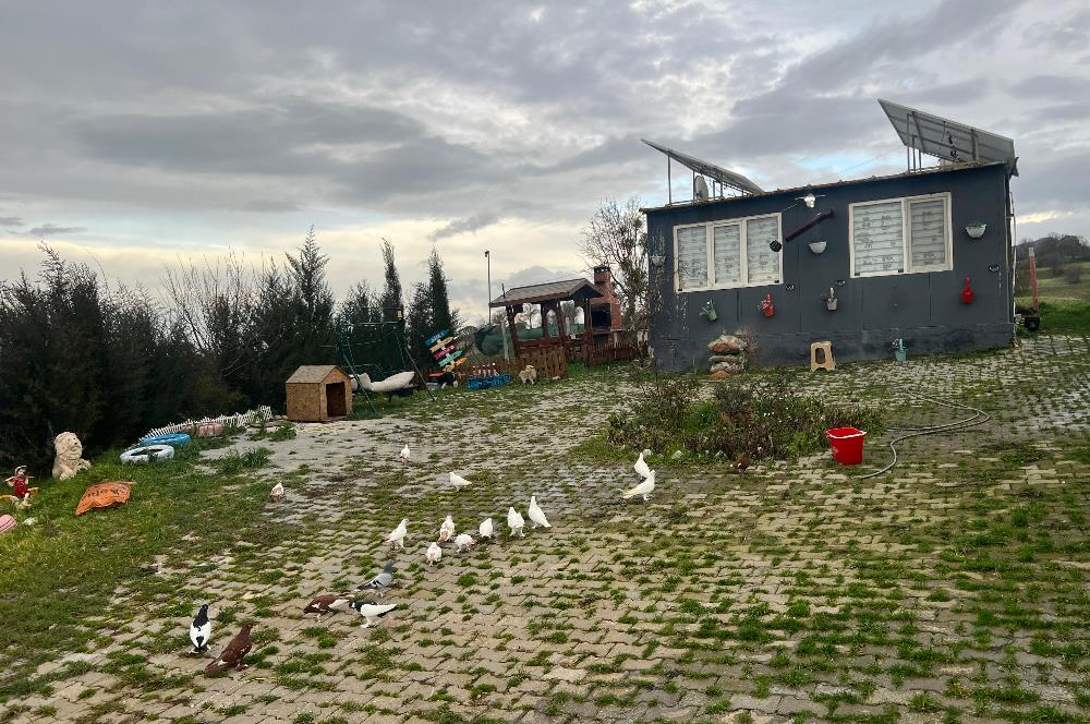 C21 BAL'DAN AKÇAKÖY'DE SATILIK HOBİ BAHÇESİ