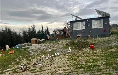 C21 BAL'DAN AKÇAKÖY'DE SATILIK HOBİ BAHÇESİ