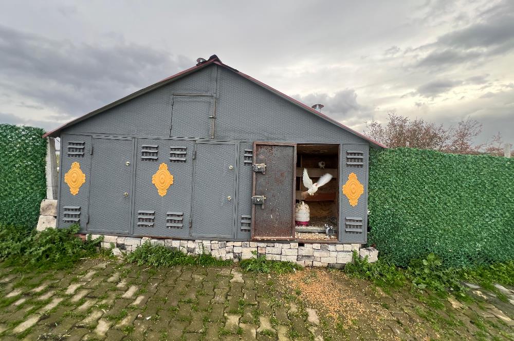 C21 BAL'DAN AKÇAKÖY'DE SATILIK HOBİ BAHÇESİ