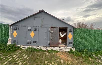 C21 BAL'DAN AKÇAKÖY'DE SATILIK HOBİ BAHÇESİ