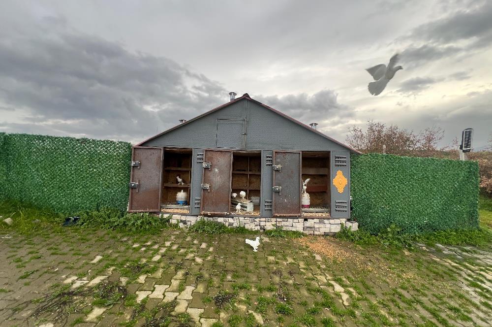 C21 BAL'DAN AKÇAKÖY'DE SATILIK HOBİ BAHÇESİ