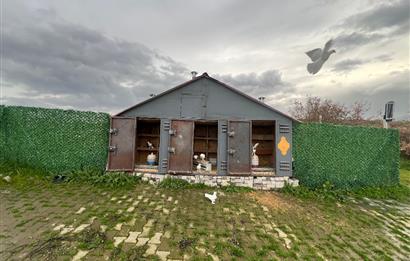 C21 BAL'DAN AKÇAKÖY'DE SATILIK HOBİ BAHÇESİ