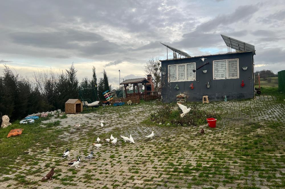 C21 BAL'DAN AKÇAKÖY'DE SATILIK HOBİ BAHÇESİ