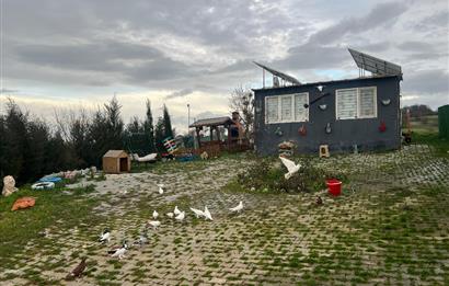 C21 BAL'DAN AKÇAKÖY'DE SATILIK HOBİ BAHÇESİ