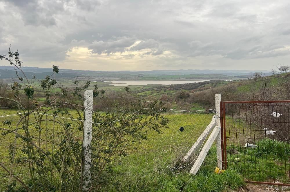 C21 BAL'DAN AKÇAKÖY'DE SATILIK HOBİ BAHÇESİ