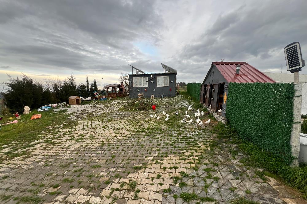C21 BAL'DAN AKÇAKÖY'DE SATILIK HOBİ BAHÇESİ
