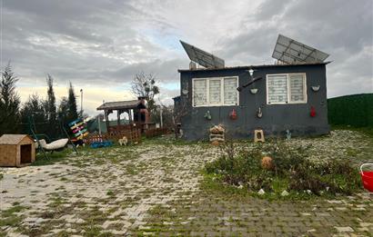 C21 BAL'DAN AKÇAKÖY'DE SATILIK HOBİ BAHÇESİ