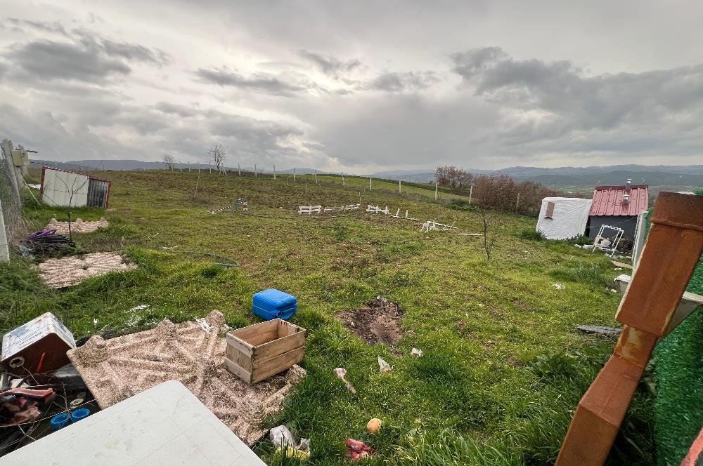 C21 BAL'DAN AKÇAKÖY'DE SATILIK HOBİ BAHÇESİ