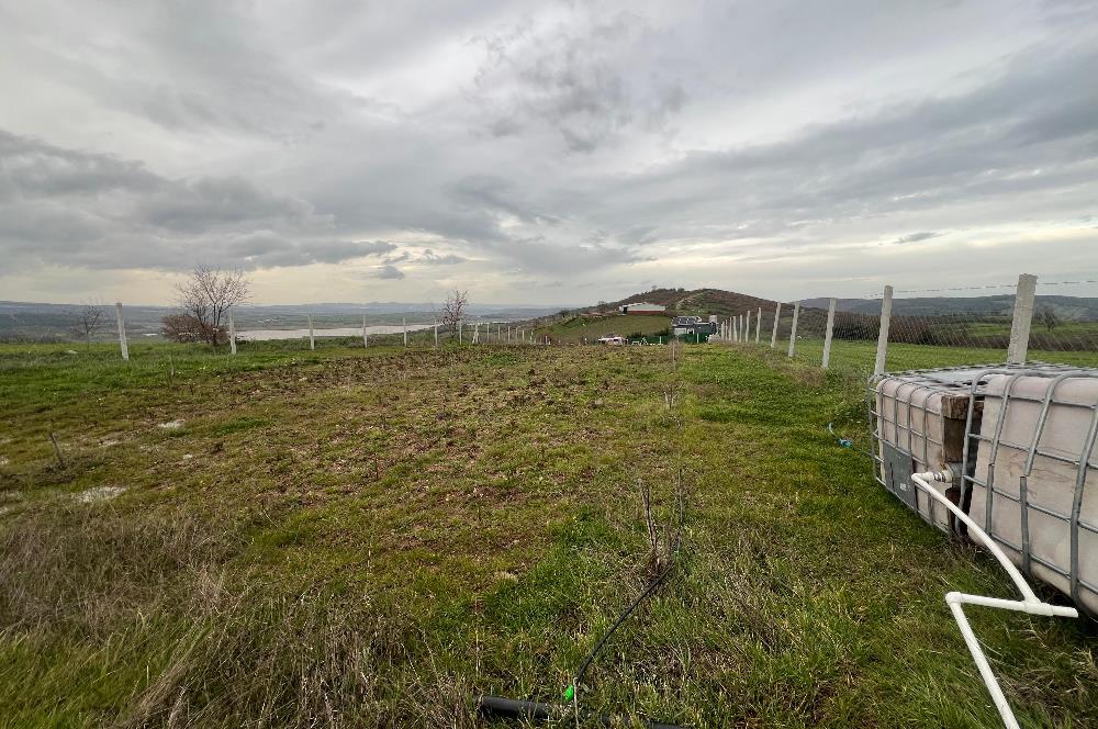 C21 BAL'DAN AKÇAKÖY'DE SATILIK HOBİ BAHÇESİ