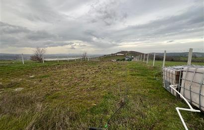 C21 BAL'DAN AKÇAKÖY'DE SATILIK HOBİ BAHÇESİ