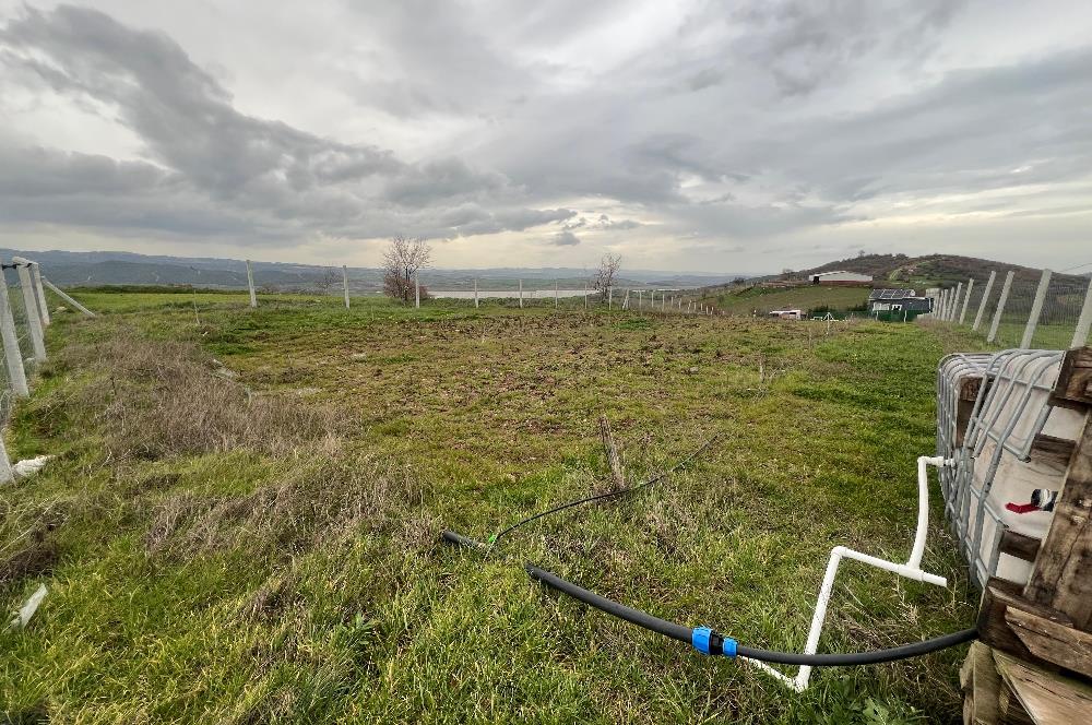 C21 BAL'DAN AKÇAKÖY'DE SATILIK HOBİ BAHÇESİ