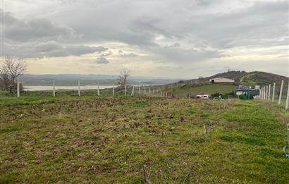 C21 BAL'DAN AKÇAKÖY'DE SATILIK HOBİ BAHÇESİ