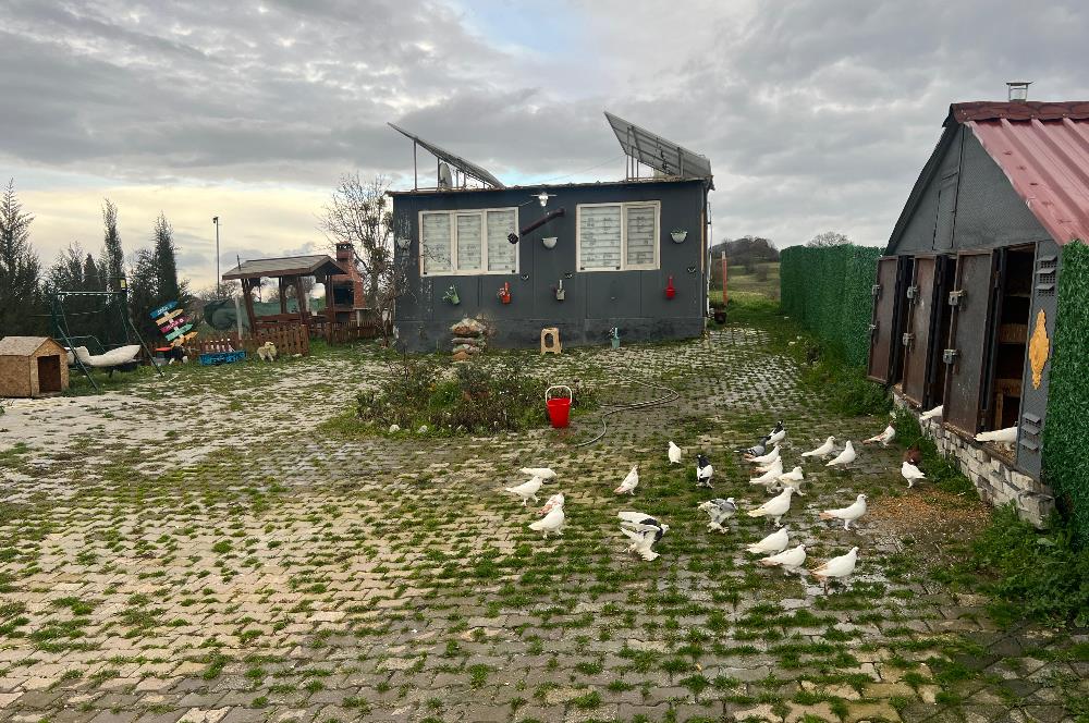 C21 BAL'DAN AKÇAKÖY'DE SATILIK HOBİ BAHÇESİ