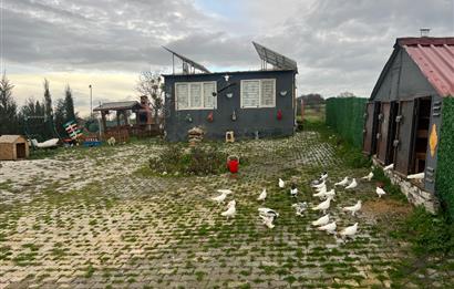 C21 BAL'DAN AKÇAKÖY'DE SATILIK HOBİ BAHÇESİ