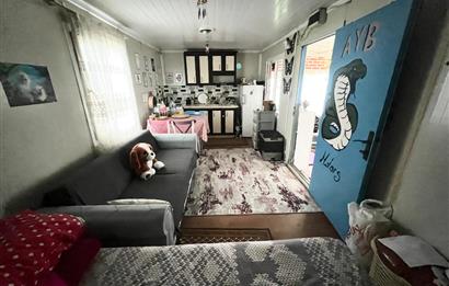 C21 BAL'DAN AKÇAKÖY'DE SATILIK HOBİ BAHÇESİ