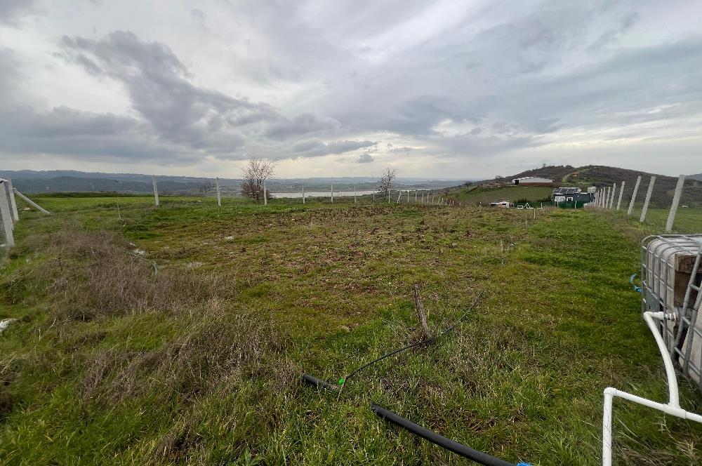 C21 BAL'DAN AKÇAKÖY'DE SATILIK HOBİ BAHÇESİ