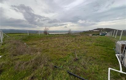 C21 BAL'DAN AKÇAKÖY'DE SATILIK HOBİ BAHÇESİ