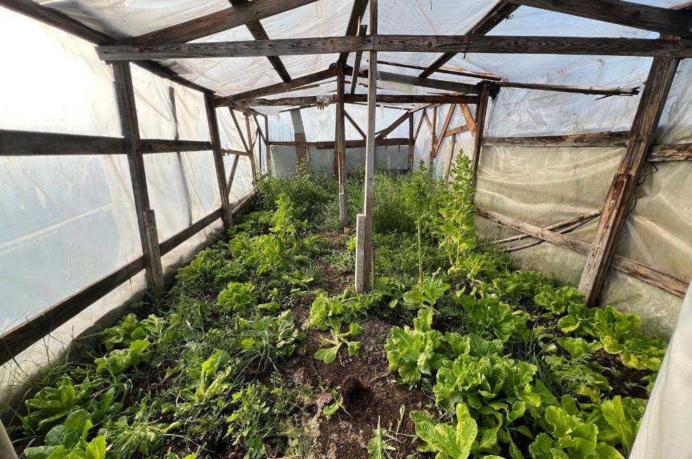 DALLIMANDIRA MH 825 M2 ARSA İÇİNDE SATILIK RUHSATLI PREFABRİK EV