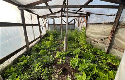 DALLIMANDIRA MH 825 M2 ARSA İÇİNDE SATILIK RUHSATLI PREFABRİK EV