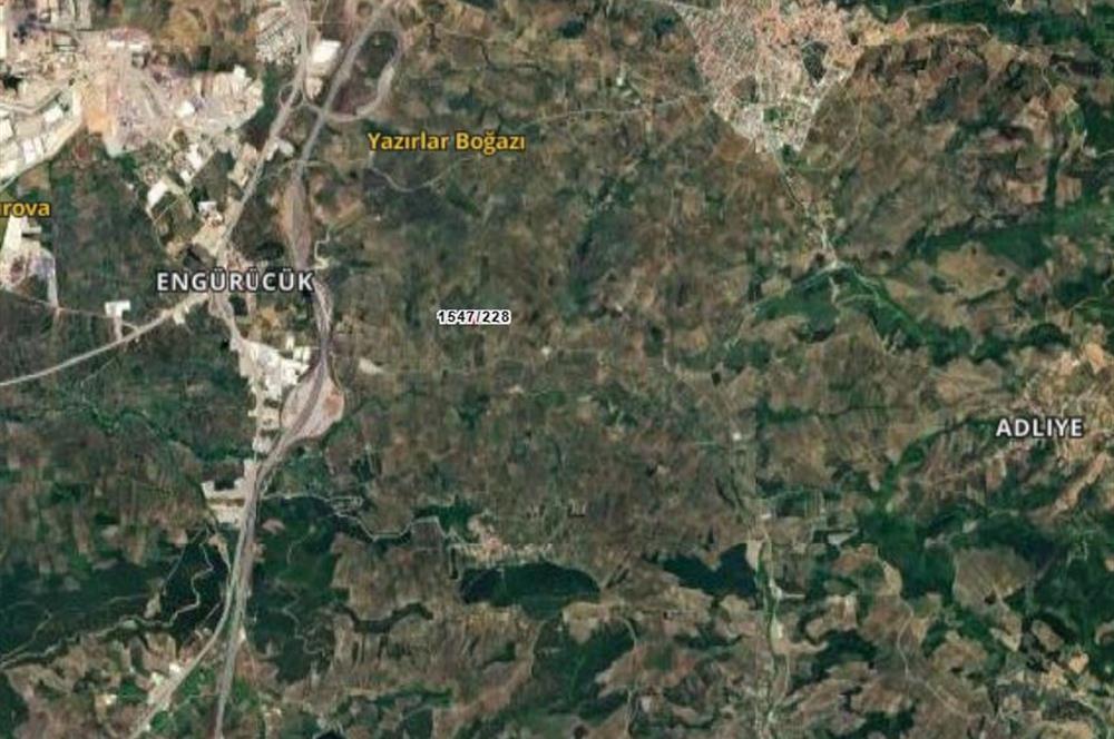 C21 Cius; Umurbey'de Yola Cephe 1248 m2 Zeytinlik