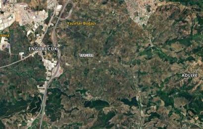 C21 Cius; Umurbey'de Yola Cephe 1248 m2 Zeytinlik