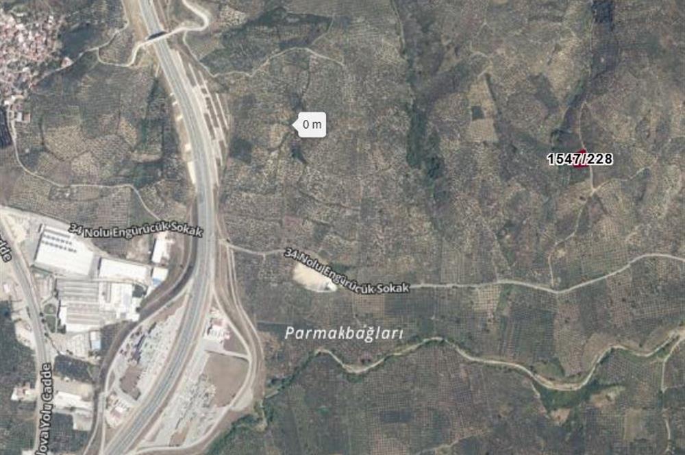 C21 Cius; Umurbey'de Yola Cephe 1248 m2 Zeytinlik