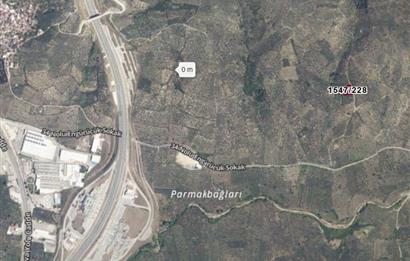 C21 Cius; Umurbey'de Yola Cephe 1248 m2 Zeytinlik