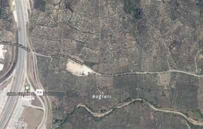 C21 Cius; Umurbey'de Yola Cephe 1248 m2 Zeytinlik