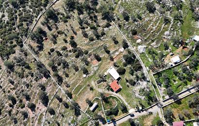 Bodrum Kızılağaç satılık arazi (Çiftlik,  yoga merkezi, özel yaşam alanına uygun)