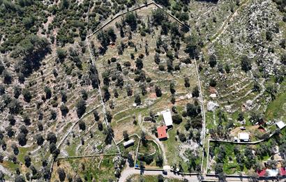 Bodrum Kızılağaç satılık arazi (Çiftlik,  yoga merkezi, özel yaşam alanına uygun)