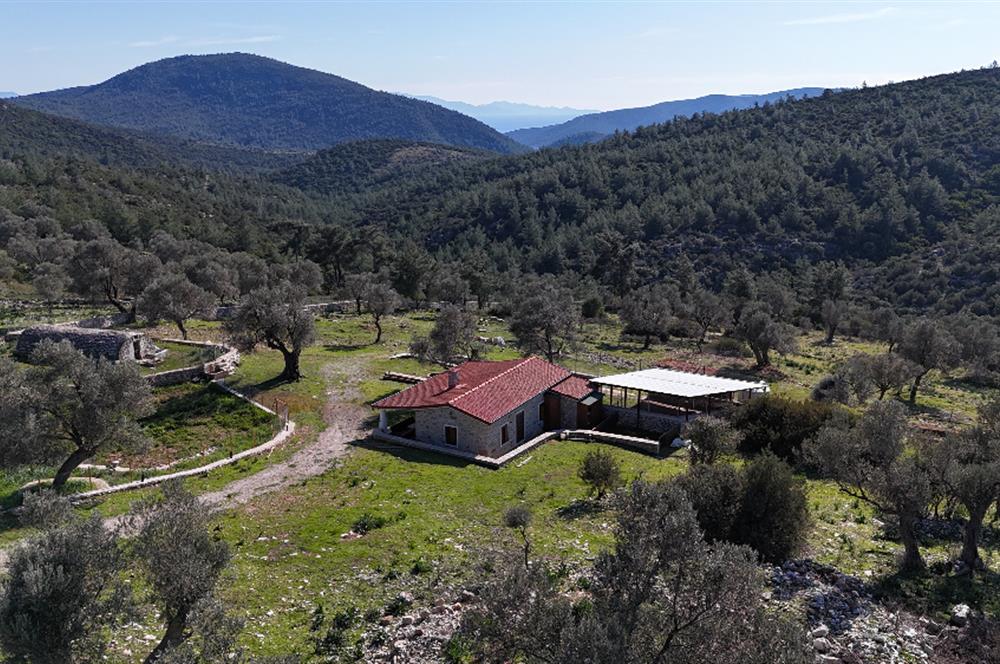 Bodrum Kızılağaç satılık arazi (Çiftlik,  yoga merkezi, özel yaşam alanına uygun)